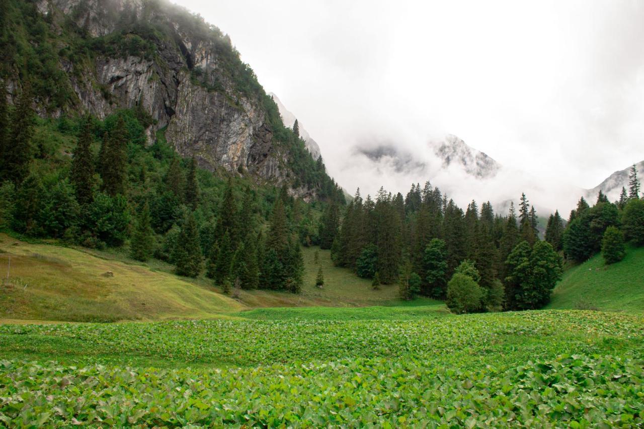 Отель Berggasthaus Gitschenen Изенталь Экстерьер фото