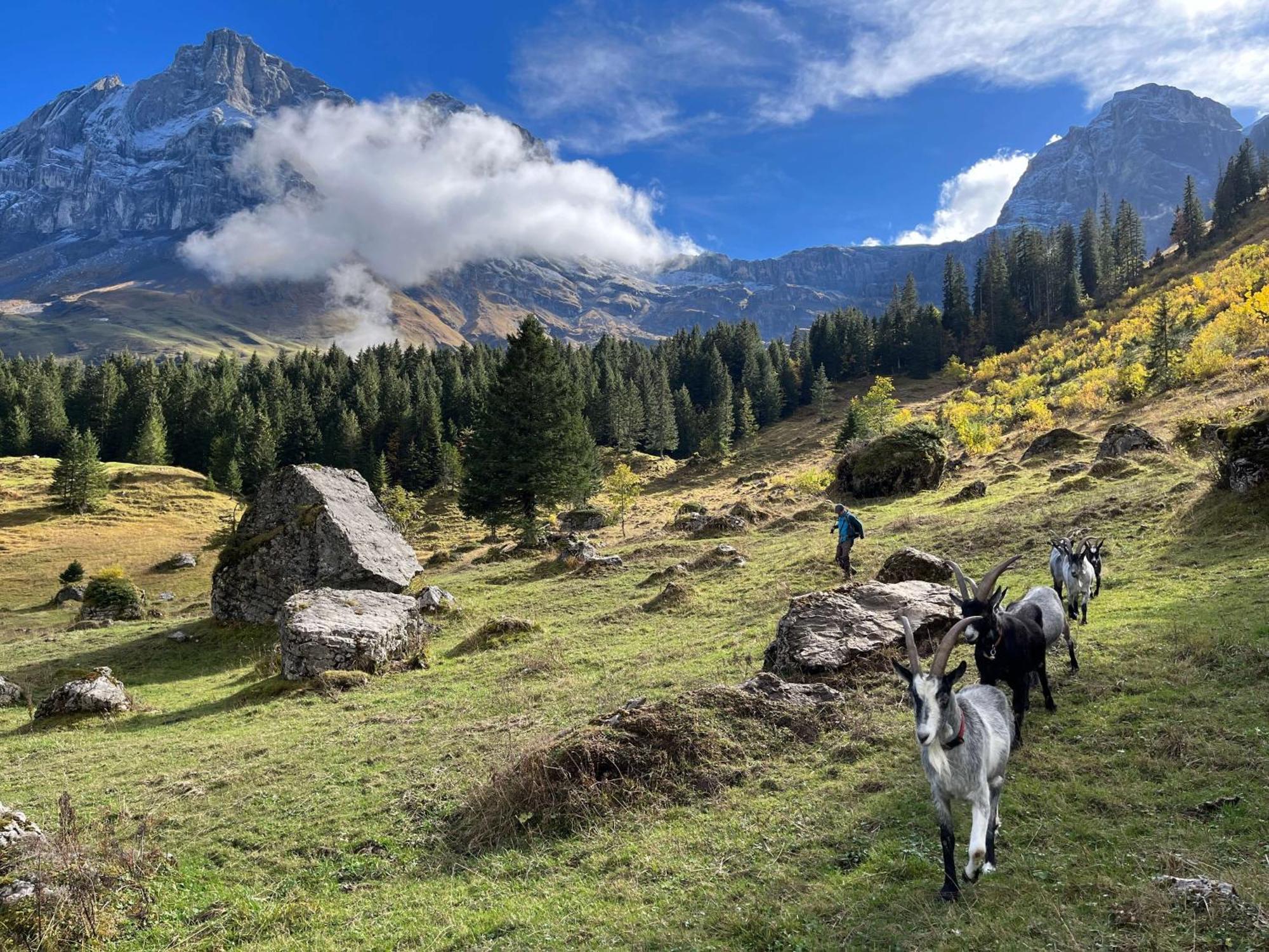 Отель Berggasthaus Gitschenen Изенталь Экстерьер фото
